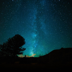 欧美片巜蜜桃臀熟1
